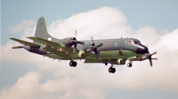 Photo ID 271803 by Jan Eenling. Netherlands Navy Lockheed P 3C Orion, 308