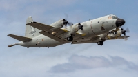 Photo ID 271861 by MANUEL ACOSTA. Spain Air Force Lockheed P 3M Orion, P 3M 08