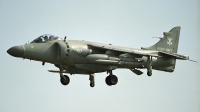 Photo ID 30072 by Peter Terlouw. UK Navy British Aerospace Sea Harrier FA 2, ZH805