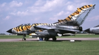 Photo ID 30500 by Tom Gibbons. Germany Air Force Panavia Tornado ECR, 46 44