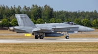 Photo ID 280878 by Rainer Mueller. Finland Air Force McDonnell Douglas F A 18C Hornet, HN 407