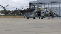 Photo ID 281956 by Fernando Sousa. Czech Republic Air Force Mil Mi 171ShM, 9806