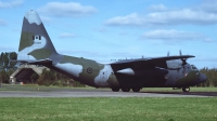 Photo ID 31607 by Lieuwe Hofstra. Canada Air Force Lockheed CC 130E Hercules L 382, 130328