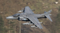 Photo ID 32828 by Tom Gibbons. UK Air Force British Aerospace Harrier GR 9, ZD401