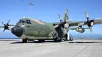 Photo ID 33393 by Rui Sousa. Portugal Air Force Lockheed C 130H Hercules L 382, 16803