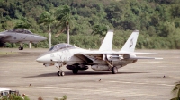 Photo ID 4374 by Victor M Gonzalez. USA Navy Grumman F 14 Tomcat,  