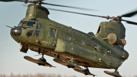 Photo ID 37222 by Bas Bonsel. Netherlands Air Force Boeing Vertol CH 47D Chinook, D 663