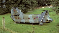 Photo ID 38947 by Rainer Mueller. UK Air Force Boeing Vertol Chinook HC1 CH 47C, ZA677
