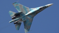 Photo ID 40868 by Jens Hameister. Belarus Air Force Sukhoi Su 27UBM, 63 BLUE
