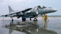 Photo ID 41639 by David F. Brown. Italy Navy McDonnell Douglas AV 8B Harrier ll, MM7199