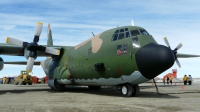 Photo ID 43742 by Martin Kubo. Argentina Air Force Lockheed KC 130H Hercules L 382, TC 69