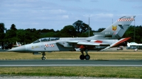 Photo ID 43908 by Joop de Groot. UK Air Force Panavia Tornado F3, ZE732