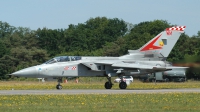 Photo ID 44344 by Peter Terlouw. UK Air Force Panavia Tornado F3, ZG793