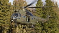 Photo ID 46621 by Chris Lofting. UK Air Force Westland Puma HC1 SA 330E, XW219