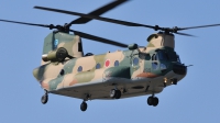 Photo ID 48672 by Peter Terlouw. Japan Air Force Boeing Vertol Kawasaki CH 47JA Chinook, 07 4499
