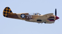 Photo ID 50417 by Nathan Havercroft. Private Planes of Fame Air Museum Curtiss P 40N Warhawk, N85104