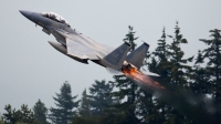 Photo ID 50418 by Kevin Scott. USA Air Force McDonnell Douglas F 15D Eagle, 85 0133