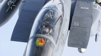 Photo ID 696 by Paul Tiller. USA Air Force McDonnell Douglas F 15E Strike Eagle, 91 0308