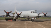 Photo ID 56271 by Stuart Skelton. New Zealand Air Force Lockheed P 3K Orion, NZ4202