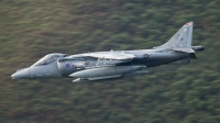 Photo ID 56741 by Paul Massey. UK Air Force British Aerospace Harrier GR 9, ZD402