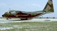Photo ID 56803 by Carl Brent. Portugal Air Force Lockheed C 130H Hercules L 382, 16804