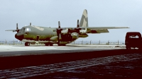 Photo ID 57137 by Carl Brent. Portugal Air Force Lockheed C 130H Hercules L 382, 16805