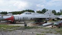 Photo ID 58148 by Ladislav Vanek. Czech Republic Air Force Mikoyan Gurevich MiG 21PFM, 8001