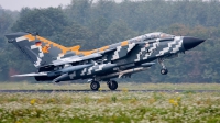 Photo ID 58443 by Rainer Mueller. Germany Air Force Panavia Tornado ECR, 46 29