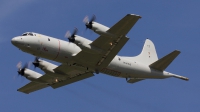 Photo ID 60908 by Walter Van Bel. Germany Navy Lockheed P 3C Orion, 60 07