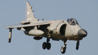 Photo ID 62441 by Rob Hendriks. UK Navy British Aerospace Sea Harrier FA 2, ZH804