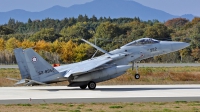 Photo ID 62201 by Eric Tammer. Japan Air Force McDonnell Douglas F 15J Eagle, 52 8952