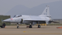 Photo ID 62583 by Peter Terlouw. Pakistan Air Force Pakistan Aeronautical Complex JF 17 Thunder, 10 116