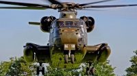 Photo ID 63165 by Matthias Bienentreu. Germany Army Sikorsky CH 53GS S 65, 84 98
