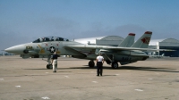 Photo ID 63229 by David F. Brown. USA Navy Grumman F 14B Tomcat, 162601