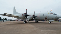 Photo ID 64653 by Fernando Sousa. Germany Navy Lockheed P 3C Orion, 60 07