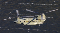 Photo ID 65596 by Barry Swann. UK Air Force Boeing Vertol Chinook HC3 CH 47SD, ZH901