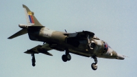 Photo ID 66164 by Martin Thoeni - Powerplanes. UK Air Force Hawker Siddeley Harrier GR 3, XV804