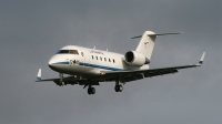 Photo ID 66787 by Niels Roman / VORTEX-images. Germany Air Force Canadair CL 600 2A12 Challenger 601, 12 05