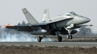 Photo ID 68640 by Javier Bozzino Barbudo. Finland Air Force McDonnell Douglas F A 18C Hornet, HN 438