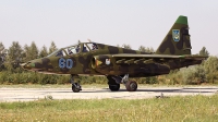 Photo ID 71280 by Carl Brent. Ukraine Air Force Sukhoi Su 25UB,  