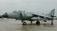 Photo ID 9137 by Michael Baldock. UK Navy British Aerospace Sea Harrier FA 2, ZE690