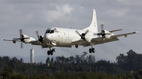 Photo ID 73263 by Fernando Sousa. Portugal Air Force Lockheed P 3C Orion, 14810