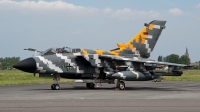 Photo ID 73622 by Lieuwe Hofstra. Germany Air Force Panavia Tornado ECR, 46 29
