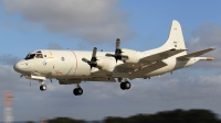 Photo ID 73754 by Helder Afonso. Portugal Air Force Lockheed P 3C Orion, 14810