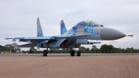 Photo ID 78461 by Jason Grant. Ukraine Air Force Sukhoi Su 27UB,  