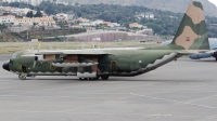 Photo ID 78757 by Pagoda Troop. Portugal Air Force Lockheed C 130H 30 Hercules L 382, 16806