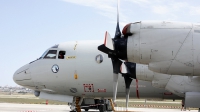 Photo ID 79755 by Fernando Sousa. Portugal Air Force Lockheed P 3C Orion, 14809