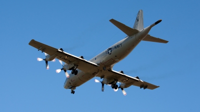 Photo ID 80800 by Jan Eenling. USA Navy Lockheed P 3 Orion, 159507