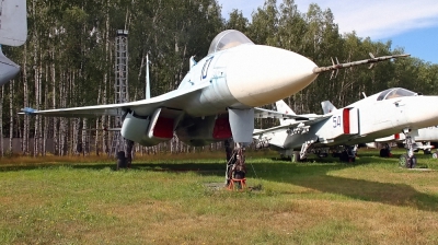 Photo ID 82140 by Chris Albutt. Russia Air Force Sukhoi T 10 1,  