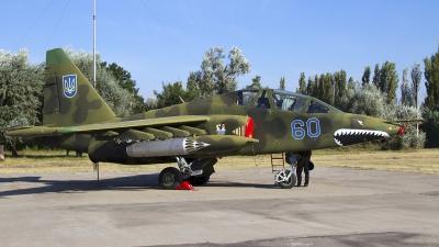 Photo ID 82336 by Chris Lofting. Ukraine Air Force Sukhoi Su 25UB,  